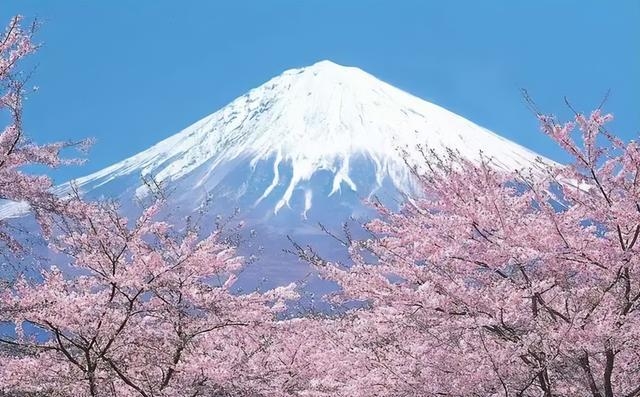 日本人口相對不多，衛(wèi)生紙用量卻世界第一，都用來干什么了？