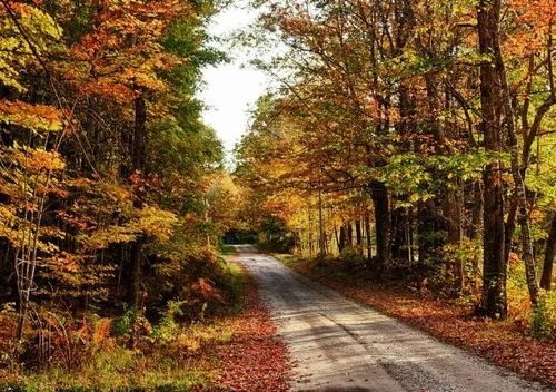 近期，緬因大學(xué)、新英格蘭林業(yè)基金會(huì)和美國林務(wù)局的研究人員，對(duì)緬因州北部大部分屬于私有商業(yè)林的7萬畝森林進(jìn)行建模研究后，最終根據(jù)研究結(jié)果，發(fā)布了一項(xiàng)有關(guān)緬因州森林碳吸收的新發(fā)現(xiàn)。