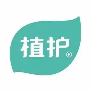 維亞造紙機(jī)械與來(lái)賓廣西植護(hù)云商7、8號(hào)機(jī)正式簽約