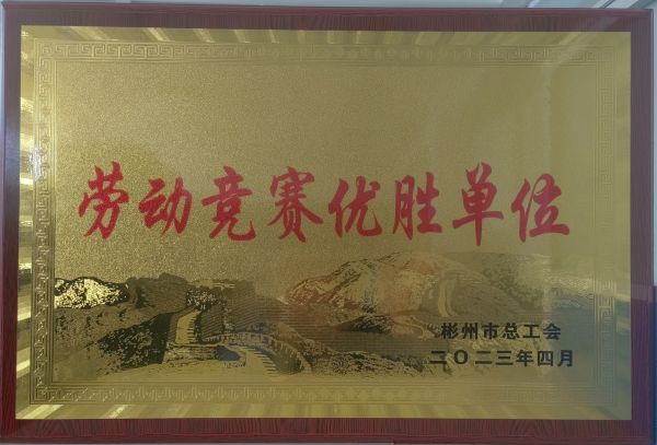 勞動(dòng)競賽優(yōu)勝單位獎(jiǎng)牌.jpg