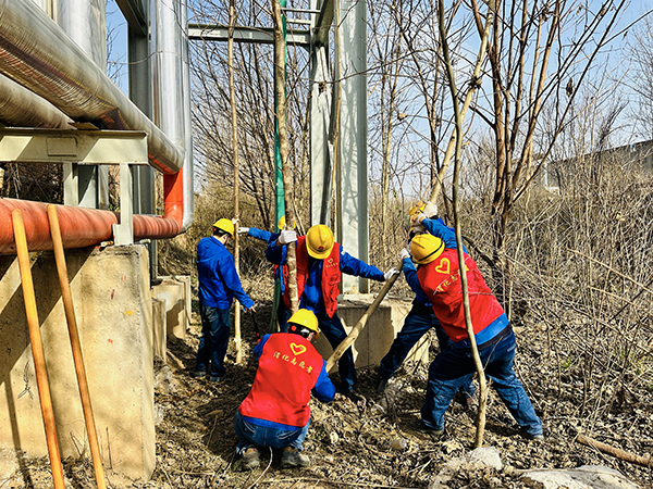 3月20日下午，物料車間黨支部開展了“清除雜草保安全 志愿服務(wù)顯擔(dān)當(dāng)”主題活動，黨員及青年志愿者清理影響管線安全的枯樹枝   600.jpg