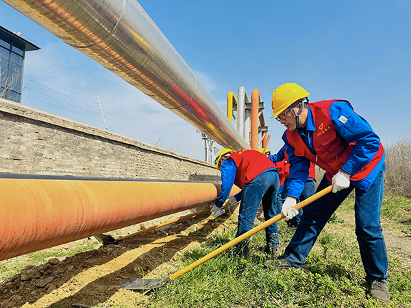 3月20日下午，物料車間黨支部開展了“清除雜草保安全 志愿服務(wù)顯擔(dān)當(dāng)”主題活動，黨員及青年志愿者清理管線底部雜草   600.jpg