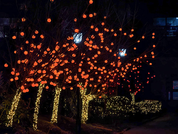 小區(qū)彩燈    600.jpg