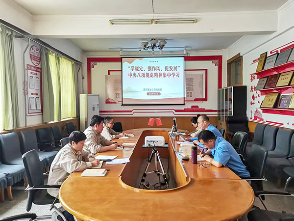 4月11日，渭河塑業(yè)公司全體黨員集中學習中央八項規(guī)定精神.jpg